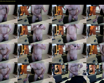 saulgoode69 — 30 minute Chaturbate male cam site download, 480p, Nov 1, 2022